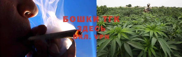 стаф Белоозёрский