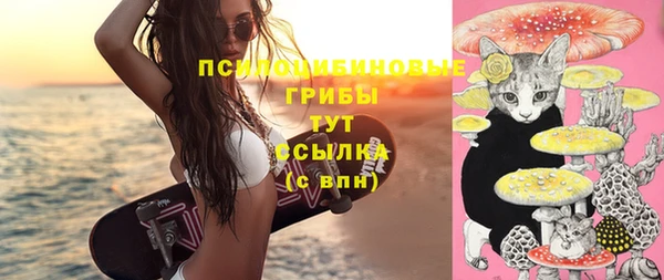 винт Балахна