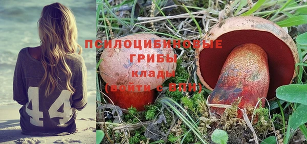 винт Балахна