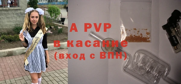 амф Беломорск