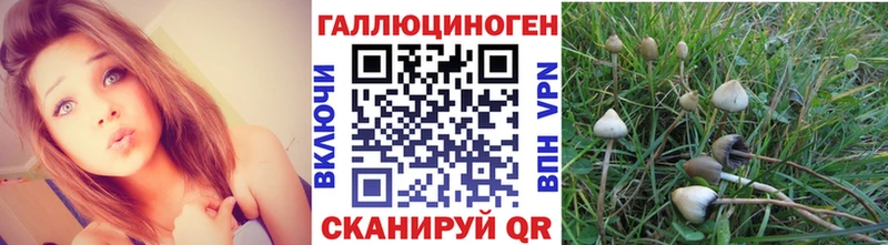 купить наркотик  Гаврилов-Ям  Псилоцибиновые грибы Magic Shrooms 